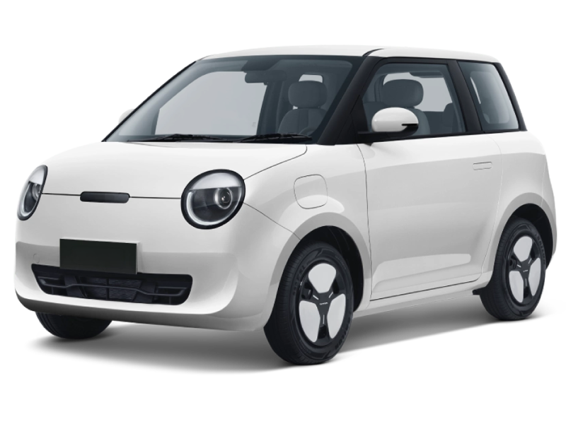 Carro eléctrico 0 km, gran premio del sorteo final